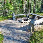 Otsopirtti- Otso By Interhome * Kolinkylä